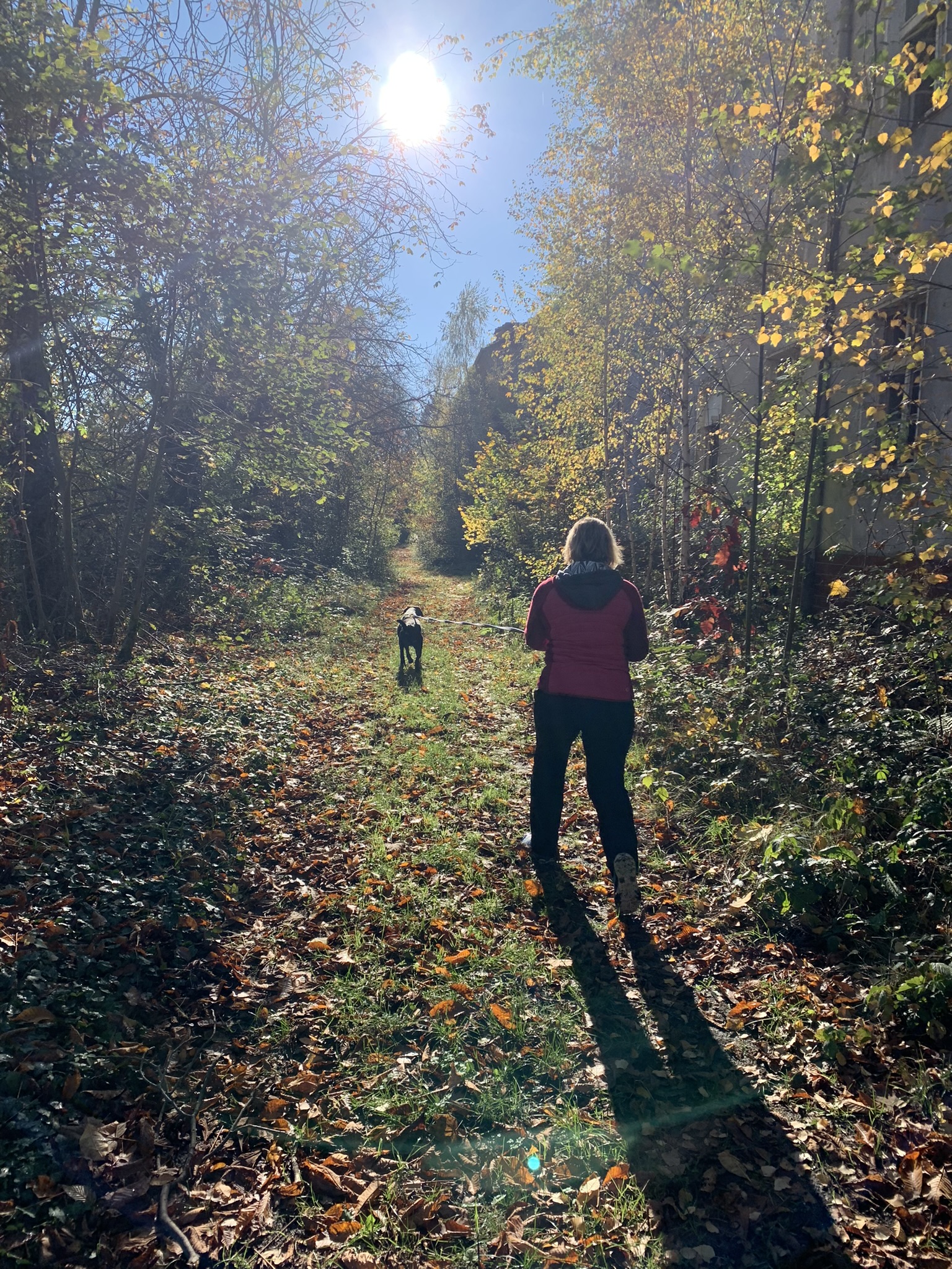 Personensuche mit Hund